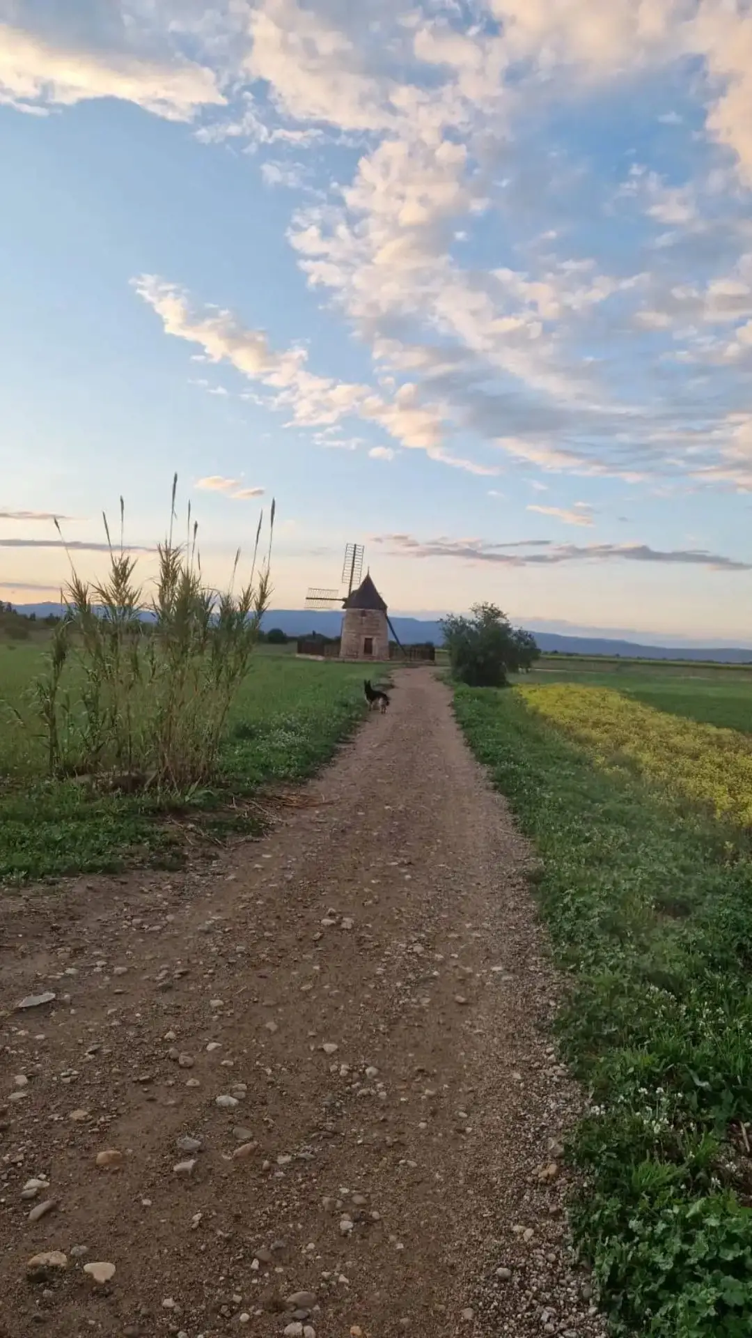 Chemin de Claira direction le moulin